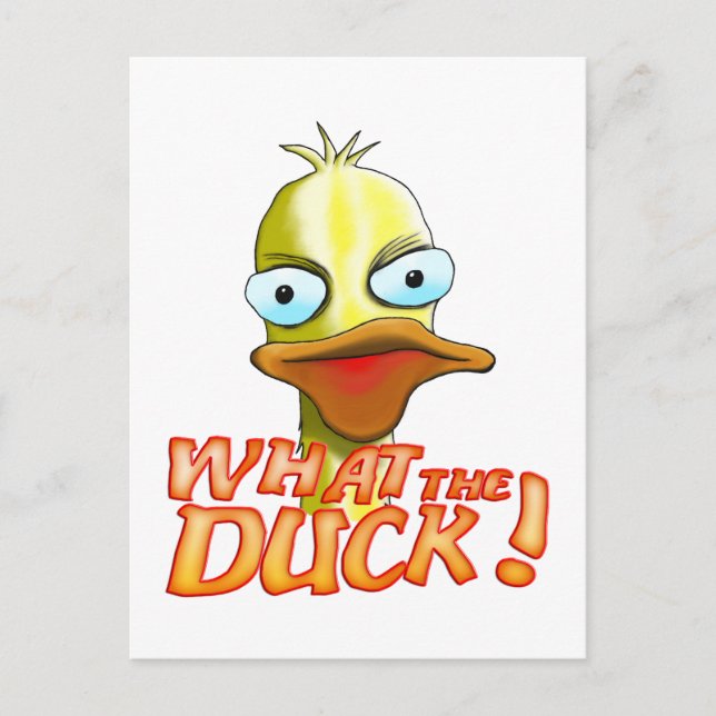 What the Duck! Postcard (Front)