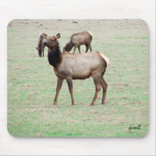 What the elk you lookin at? mouse pad