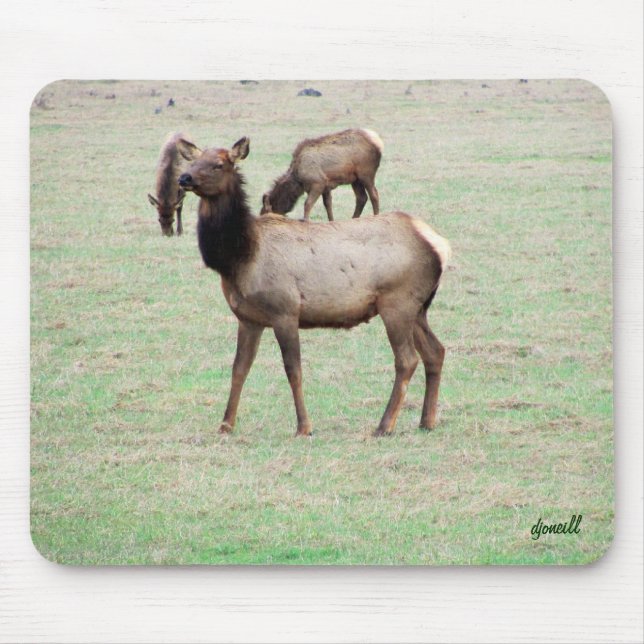 What the elk you lookin at? mouse pad (Front)