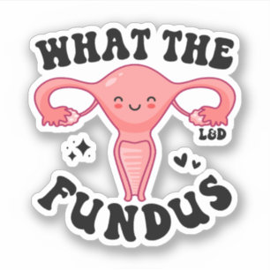 What the Fundus, Funny Labor and Delivery Nurse Sticker