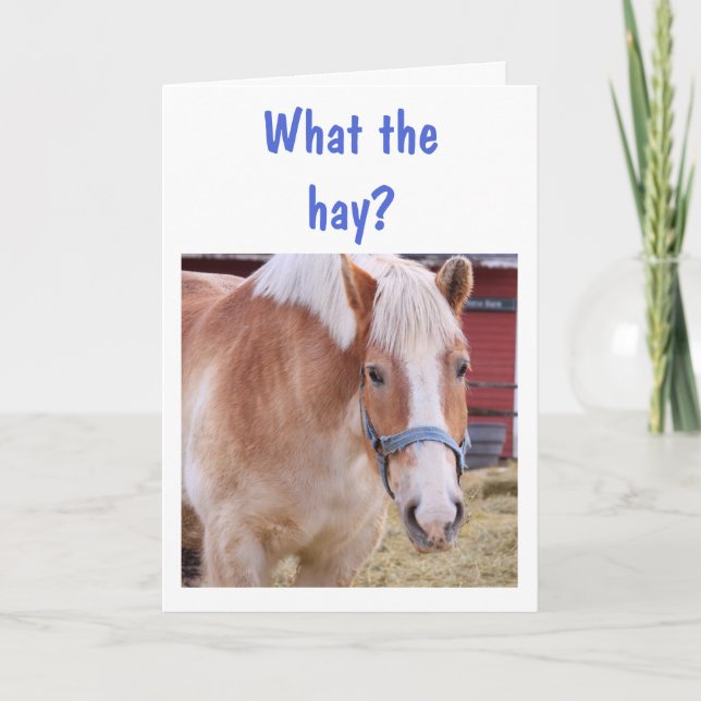 "What the hay?" Horse Birthday Card (Front)