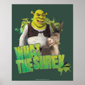 What The Shrek Poster