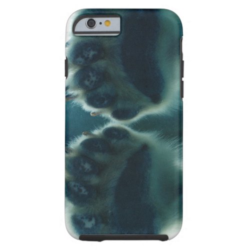 What They Saw Beneath the Ice Tough iPhone 6 Case