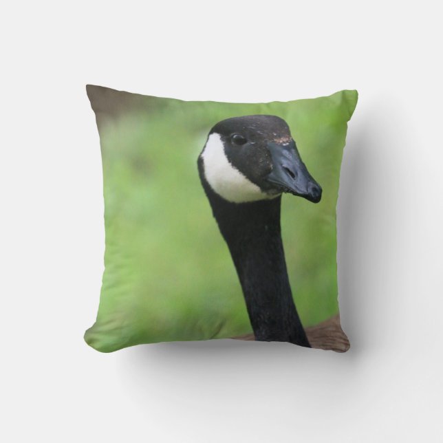 What? Throw Pillow (Front)