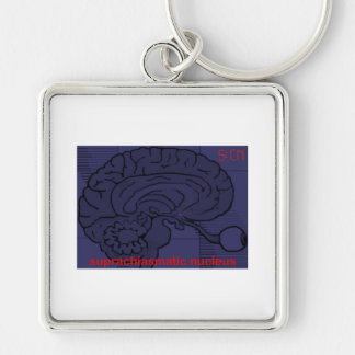 What time is it? Ask my SCN Keychain