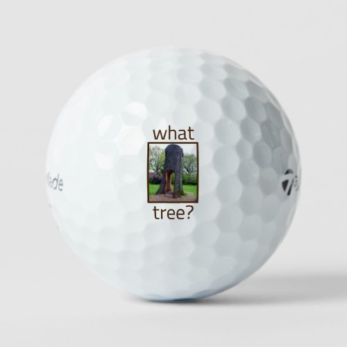 What Tree Golf Balls