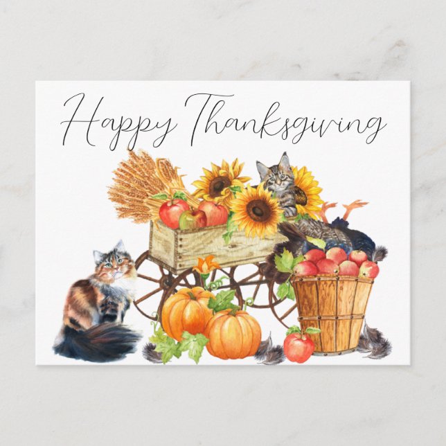 What Turkey? Innocent Cats Thanksgiving Postcard (Front)