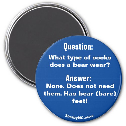 What type of socks does a bear wear magnet