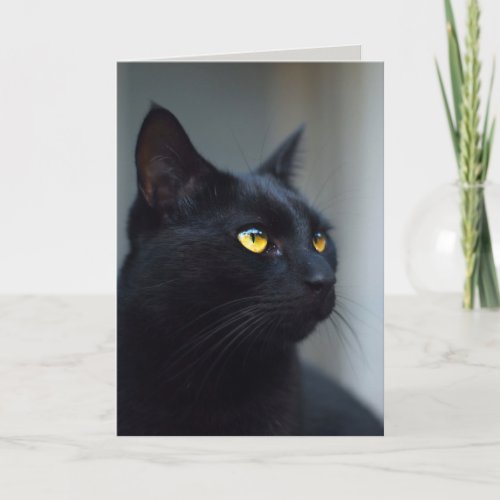 what was your cat thinking greeting card