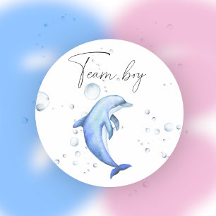 What will baby be team boy  classic round sticker