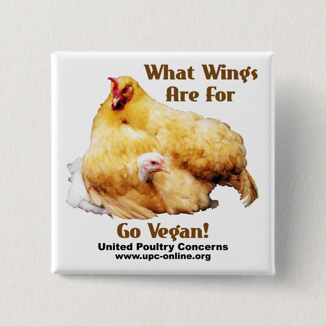 What Wings Are For - Go Vegan Button (Front)