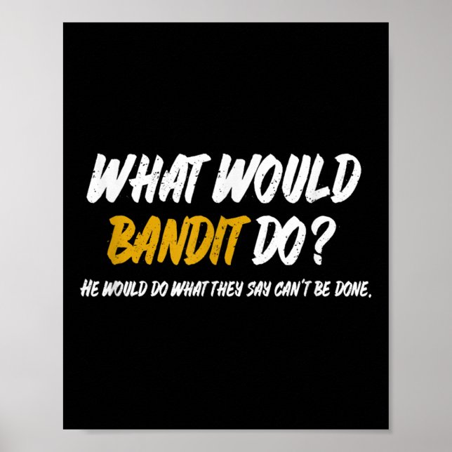 What Would Bandit Do_ What They Say Can't Be Done  Poster (Front)