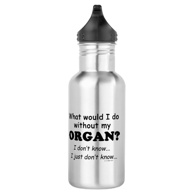 What Would I Do, Organ Stainless Steel Water Bottle (Right)