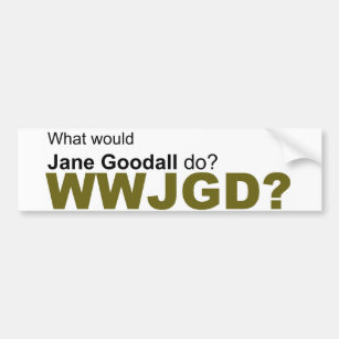 What would Jane Goodall do? Bumper Sticker