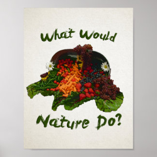 What Would Nature Do Poster