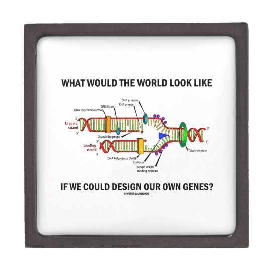 What Would The World Look Like Design Our Genes? Jewelry Box