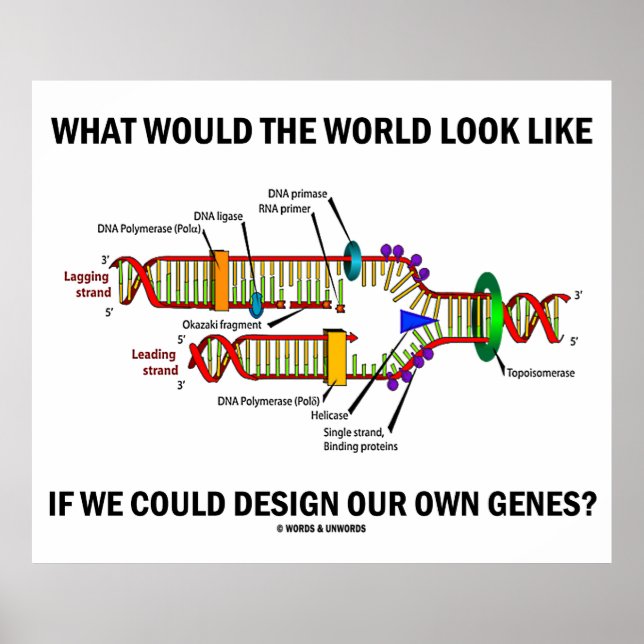 What Would The World Look Like Design Our Genes? Poster (Front)