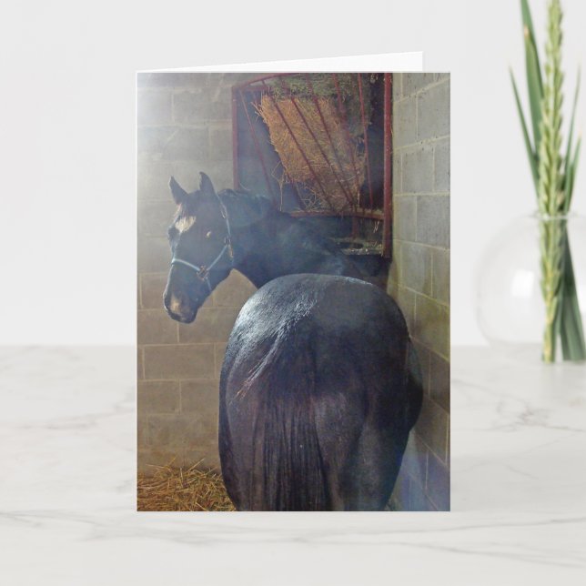 What Ya Want? Card (Front)