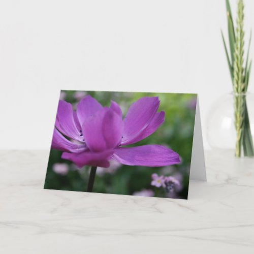 What you hide Anemone Floral Photography Card