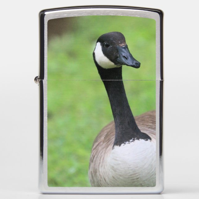 What Zippo Lighter (Front)