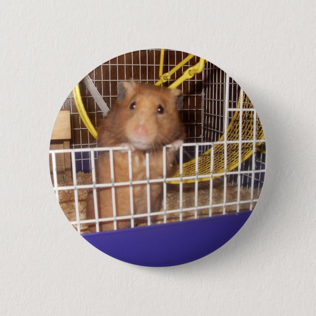 whatca lookin at button (Front)