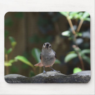 Whatcha Doin Mouse Pad