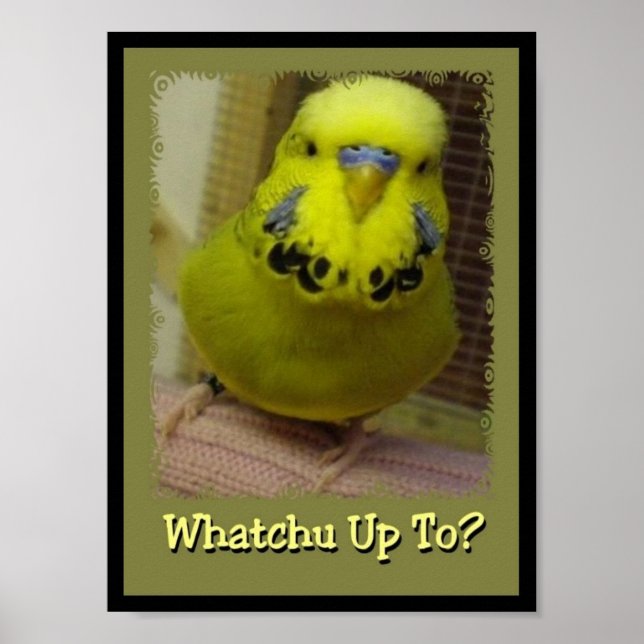 Whatchu Up To 3 Poster (Front)