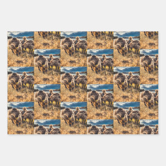 Whatcom county outdoors set wrapping paper sheets