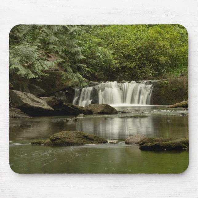 Whatcom Falls Park Mouse Pad (Front)