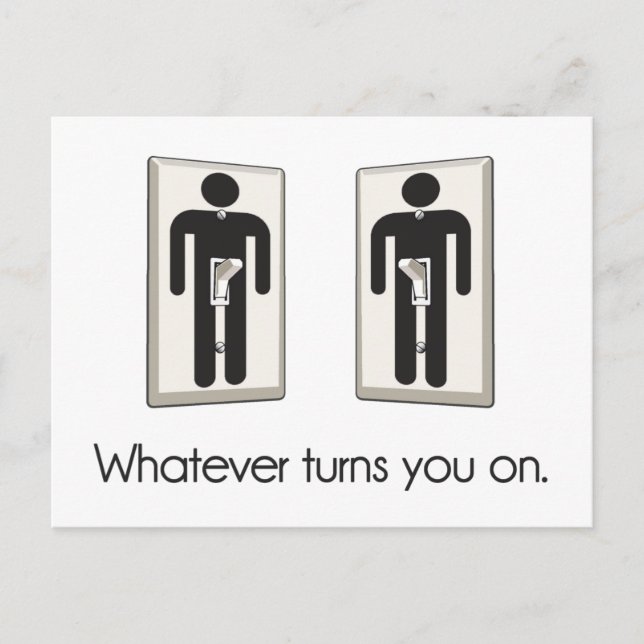 Whatever Turns You On Gay Male Light Switch Postcard (Front)