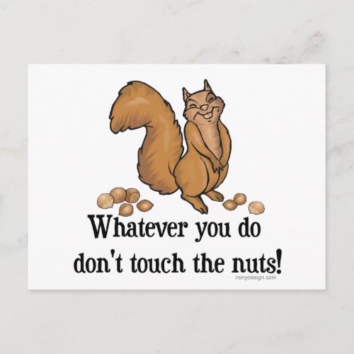 Whatever you do dont touch the nuts postcard