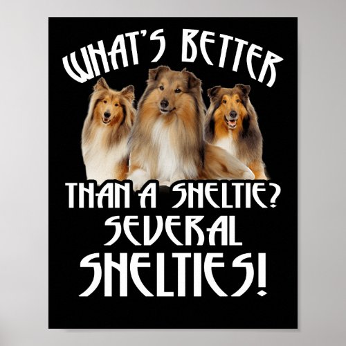 Whats Better Than A Sheltie Several Shelties Poster