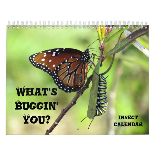 Whats Buggin You _ Insect Calendar _ Edition 1