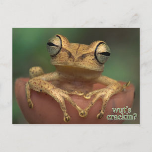what's cracking? postcard