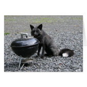 What's for Dinner? (Front Horizontal)