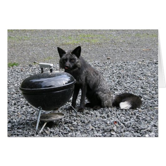 What's for Dinner? (Front Horizontal)