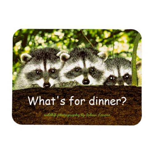 Whats for dinner Raccoon refrigerator magnet Magnet