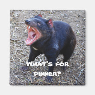 "What's for Dinner?" Tasmanian Devil Magnet