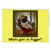 What's Goin on Pugger? (Front Horizontal)