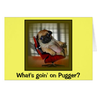 What's Goin on Pugger? Cards