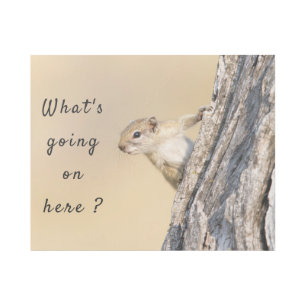 What's going on here squirrel photo with text gallery wrap