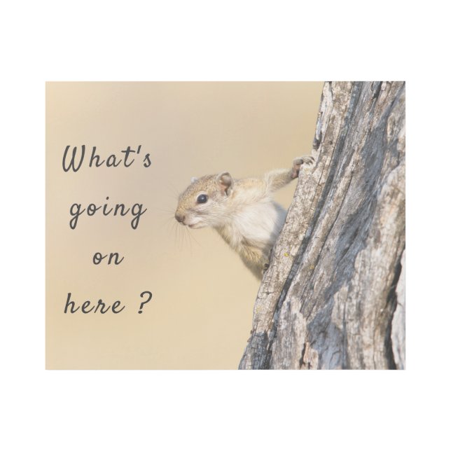 What's going on here squirrel photo with text gallery wrap (Front)