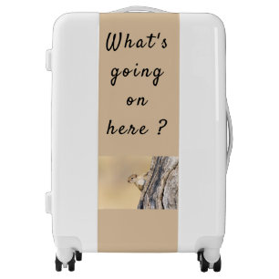 What's going on here squirrel photo with text luggage