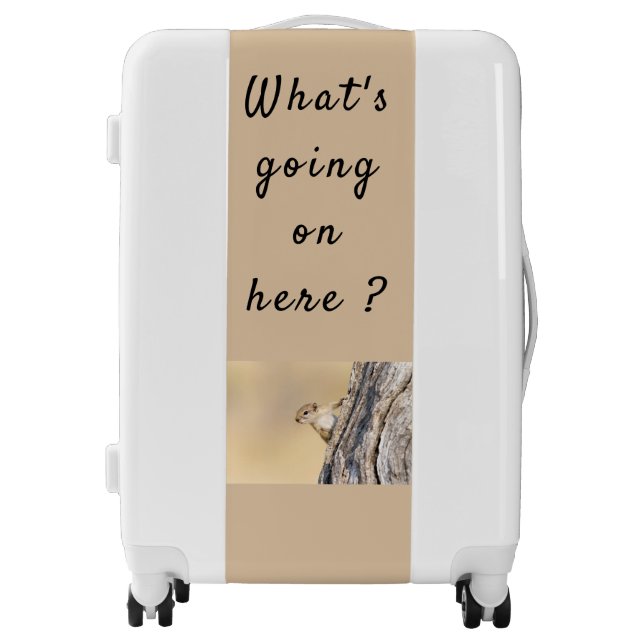 What's going on here squirrel photo with text luggage (Front)