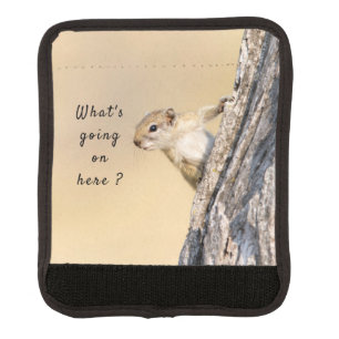 What's going on here squirrel photo with text luggage handle wrap