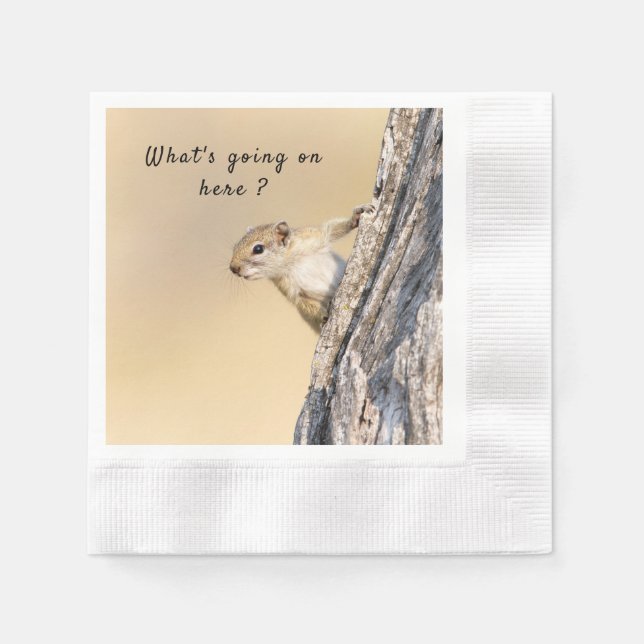 What's going on here squirrel photo with text napkins (Front)