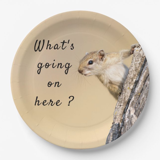What's going on here squirrel photo with text paper plates (Front)