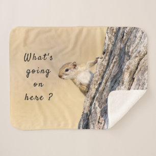What's going on here squirrel photo with text sherpa blanket