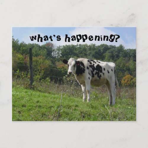 whats happening postcard