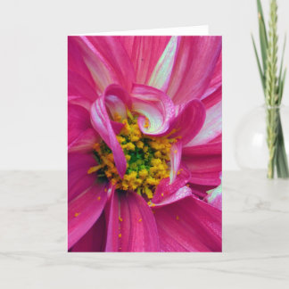 What's in the Frames? #4 Card